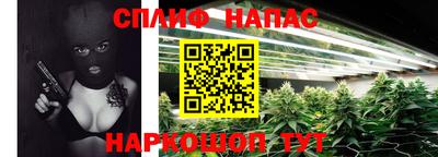 a pvp Белореченск