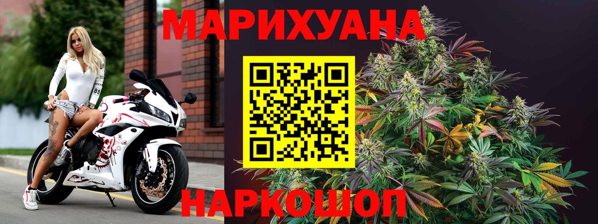 Канабис сатива Богородицк